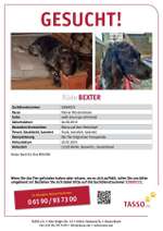 Suchmeldung-Bexter-Bild