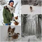 Ersteller:in Britt Profilbild