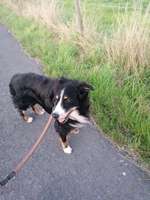 Physiotherpie im Raum Braunschweig-Beitrag-Bild