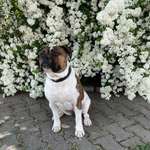 Ersteller:in Antonio Profilbild