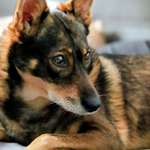 Ersteller:in Lydia Profilbild