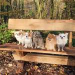 Ersteller:in Joana Profilbild