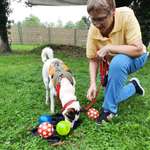 Ersteller:in Petra Profilbild