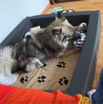 Ersteller:in Liesa Profilbild