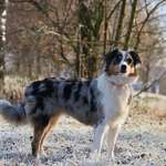 Ersteller:in Jete Profilbild