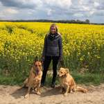 Ersteller:in Steffi Profilbild