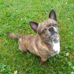 Ersteller:in Kathleen Profilbild