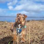 Ersteller:in Lara Profilbild