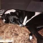 Ersteller:in Tanja Profilbild