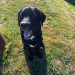 Ersteller:in Patrick Profilbild