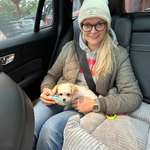 Ersteller:in Viktoria Profilbild