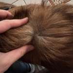 Bürstenempfehlung-Beitrag-Bild