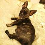 Ersteller:in Selina Profilbild