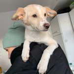 Ersteller:in Marta Profilbild