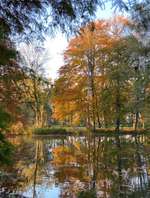 Hundeauslaufgebiet-Höpkens Ruh und Muhles Park-Bild