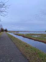 Hundeauslaufgebiet-Spaziergang durch die Borgfelder Wümmewiesen-Bild