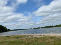 Hundeauslaufgebiet-Alt Ellenberg-Bild