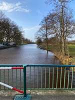 Hundeauslaufgebiet-Hammeufer-Bild