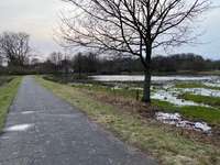 Hundeauslaufgebiet-Spaziergang durch die Borgfelder Wümmewiesen-Bild