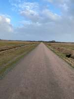 Hundeauslaufgebiet-Hammeufer-Bild