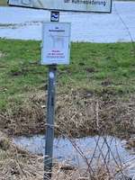 Hundeauslaufgebiet-Spaziergang durch die Borgfelder Wümmewiesen-Bild