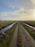 Hundeauslaufgebiet-Hammeufer-Bild