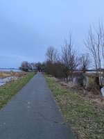 Hundeauslaufgebiet-Spaziergang durch die Borgfelder Wümmewiesen-Bild