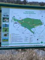 Hundeauslaufgebiet-Spaziergang durch die Borgfelder Wümmewiesen-Bild