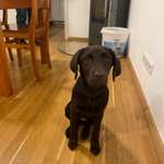 Ersteller:in Konrad Profilbild