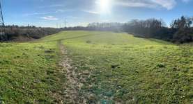 Hundeauslaufgebiet-Merheimer Heide Süd (Höhenberg)-Bild