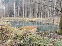 Hundeauslaufgebiet-Jägersteig/Huberussteig-Bild