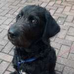 Ersteller:in Annett Profilbild