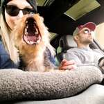 Ersteller:in Julia Profilbild