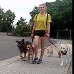 Ersteller:in Pauline Profilbild