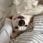 Ersteller:in Nadine Profilbild