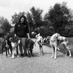 Ersteller:in Verena Profilbild