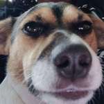 Ersteller:in Steffi Profilbild