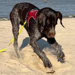 Ersteller:in Yvonne Profilbild