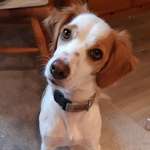 Ersteller:in Elisa Profilbild