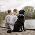 Ersteller:in Karline Profilbild