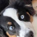 Ersteller:in Michi Profilbild