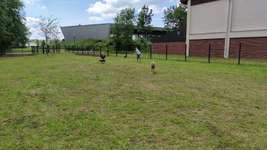 Hundeauslaufgebiet-Stadtpark-Bild