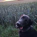 Ersteller:in Johanna Profilbild