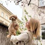 Ersteller:in Silvija Profilbild