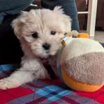 Ersteller:in Elewin Profilbild