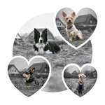 Ersteller:in Fabienne Profilbild