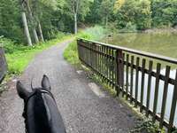 Hundeauslaufgebiet-Kraichsee Sternenfels-Bild