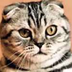 Ersteller:in Luca Profilbild