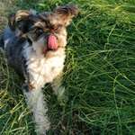 Ersteller:in Nancy Profilbild