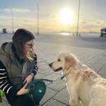 Ersteller:in Sarah Profilbild